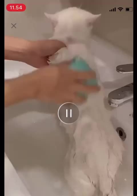 Sikat Mandi Kucing Anjing Silikon Sikat Bulu Karet Pet Bath Brush Cat