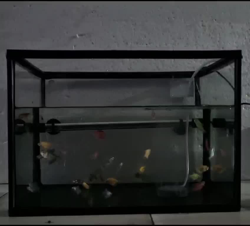 Lampu LED Celup Rosston 3 MODE Aquarium Aquascape Dua Baris LIMITED T4 Rosston 20-60cm