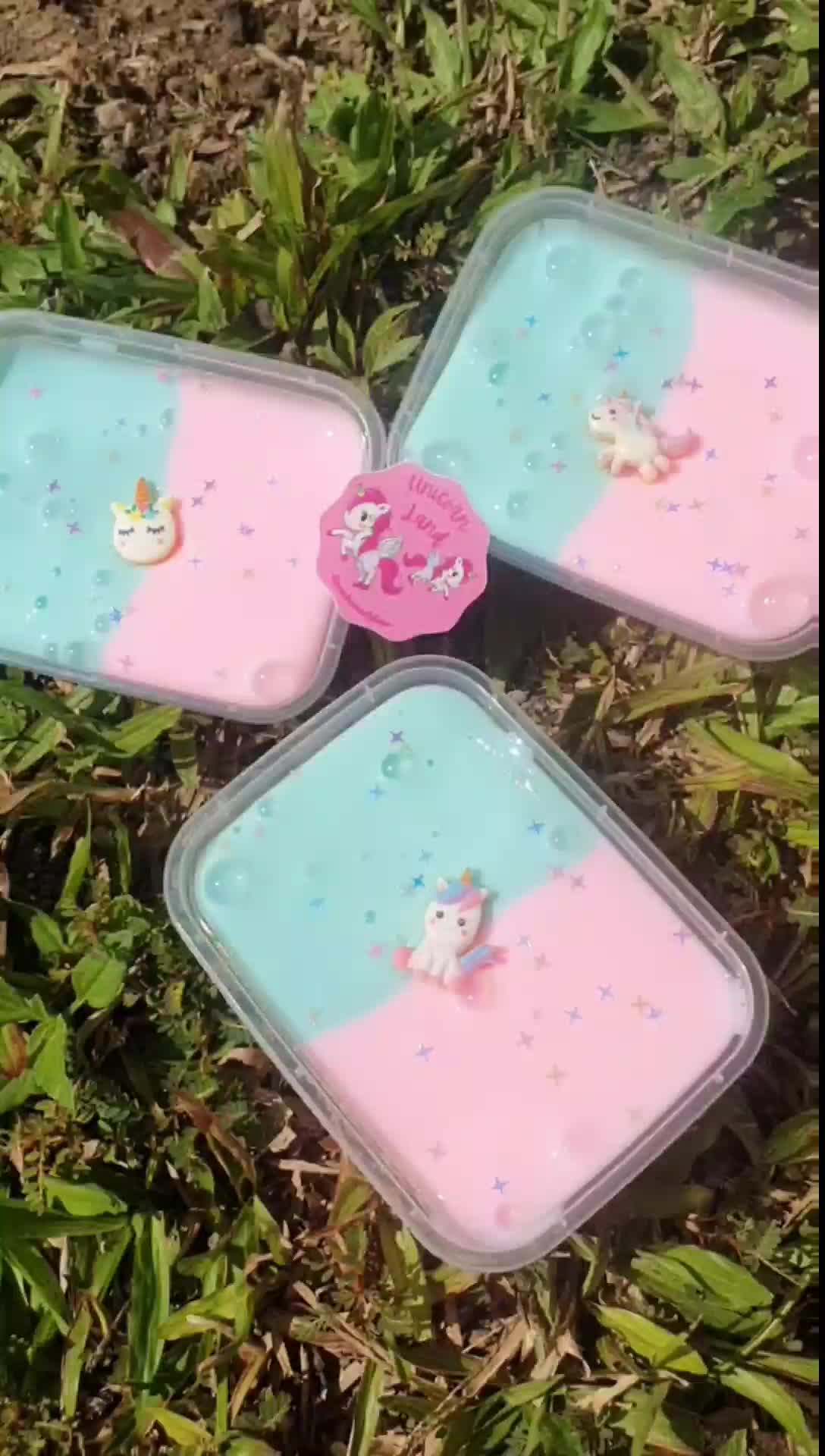 Unicorn Land Slime 200cc Educational Multicoloured