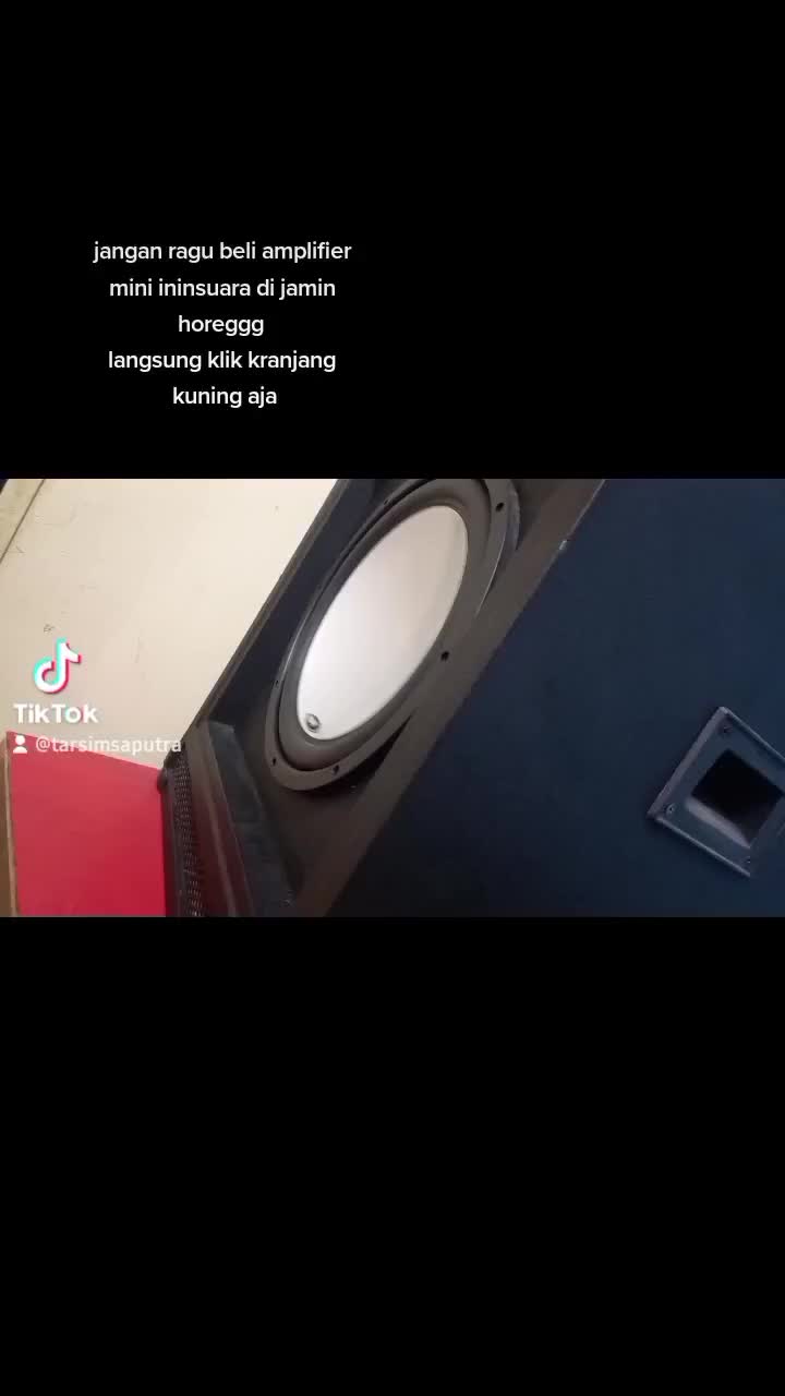 amplifier mini class d
