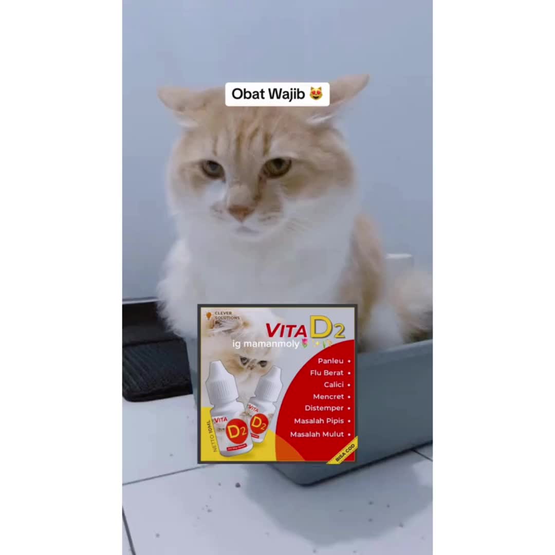 Clever Solutions - ( Bisa COD ) Vita D2 Obat Virus Kucing Flu Berat, Panleu, Calici, Distemper, Mencret, Pipis Darah, Sariawan, Lemes, Muntah, Bakteri