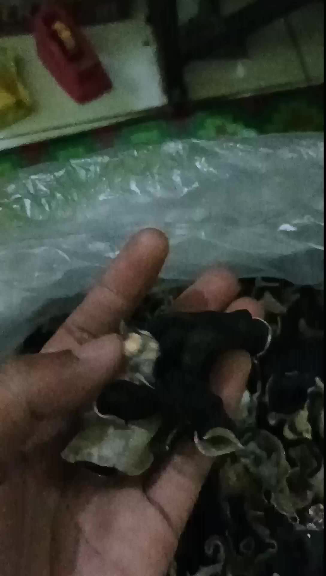 jamur kuping kering 1 kg grade A
