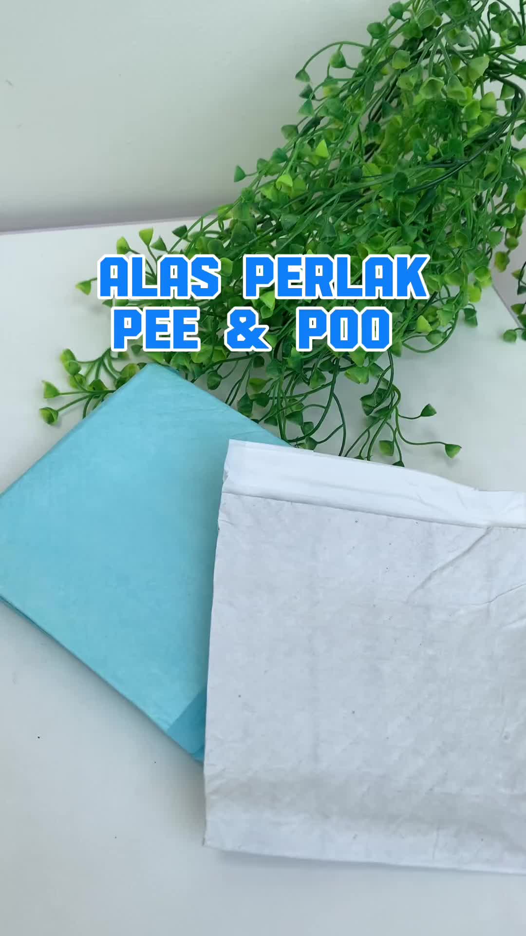 PAKET HEMAT ALAS PERLAK PEE AND POO Anjing Kucing Isi 10 PCS - Alas Pipis Anjing Kucing Sekali Pakai - Dog Cats Training Pad Underpad - Paket Murah Alas Perlak Hewan Peliharaan/Anabul Isi 10 Pcs