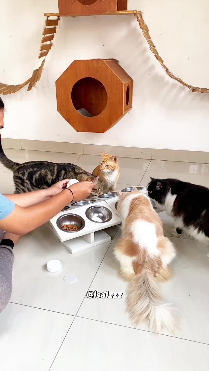 NATURAL PREMIUM MILK FOR CATS & DOGS | PROTEMA | 125 GR | Susu Kucing Anjing Kitten Puppy, Multivitamin Lengkap Nutrisi Seimbang | Zero Lactose