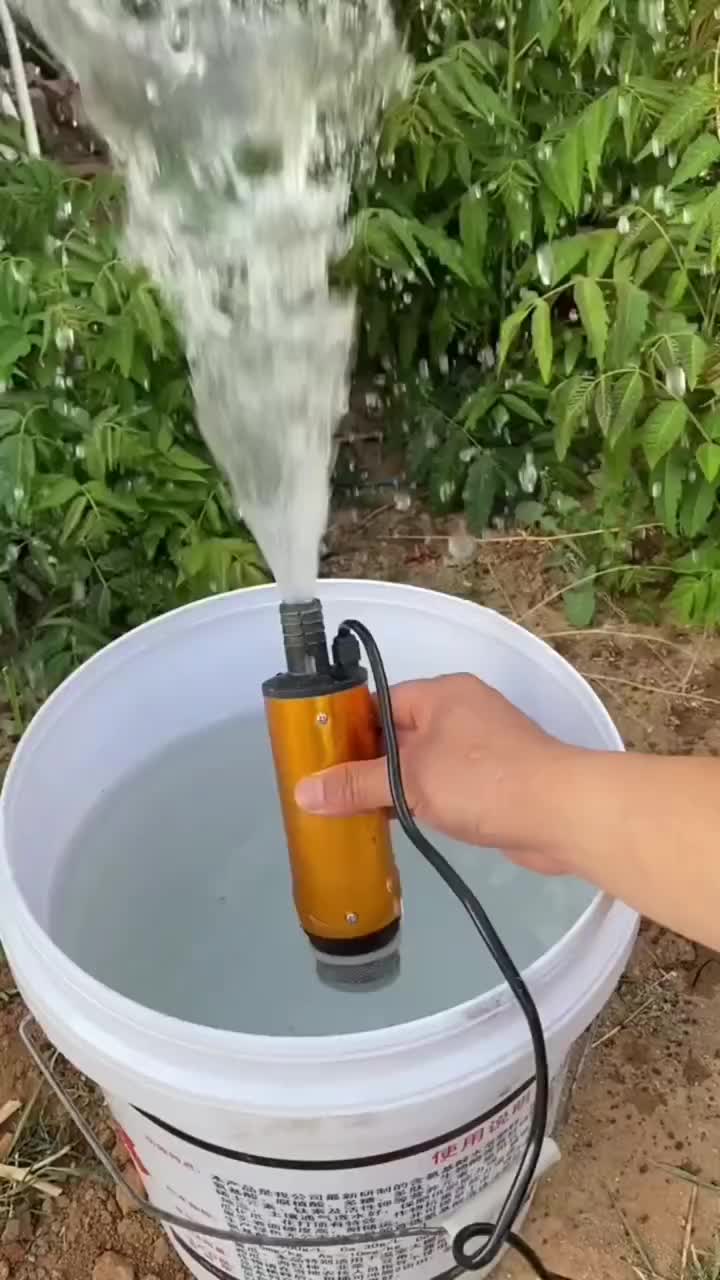 Pompa Celup Mini Portable Mesin Pompa Sedot Air Minyak Solar Arus Dc 12V Pompa 24 V pompa  solar  24  volt