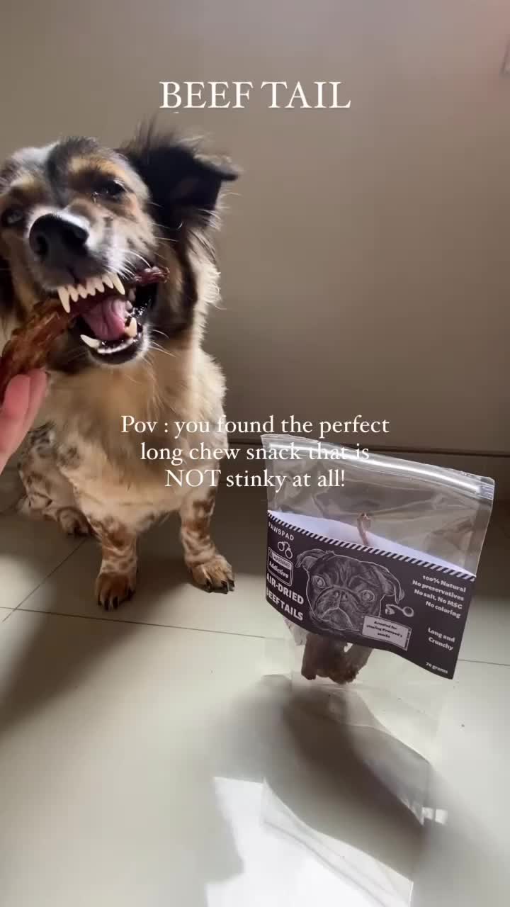 PAWSPAD Beef Tail Ekor Buntut Sapi Kering Tinggi Protein dan Rendah Lemak Natural dan Sehat