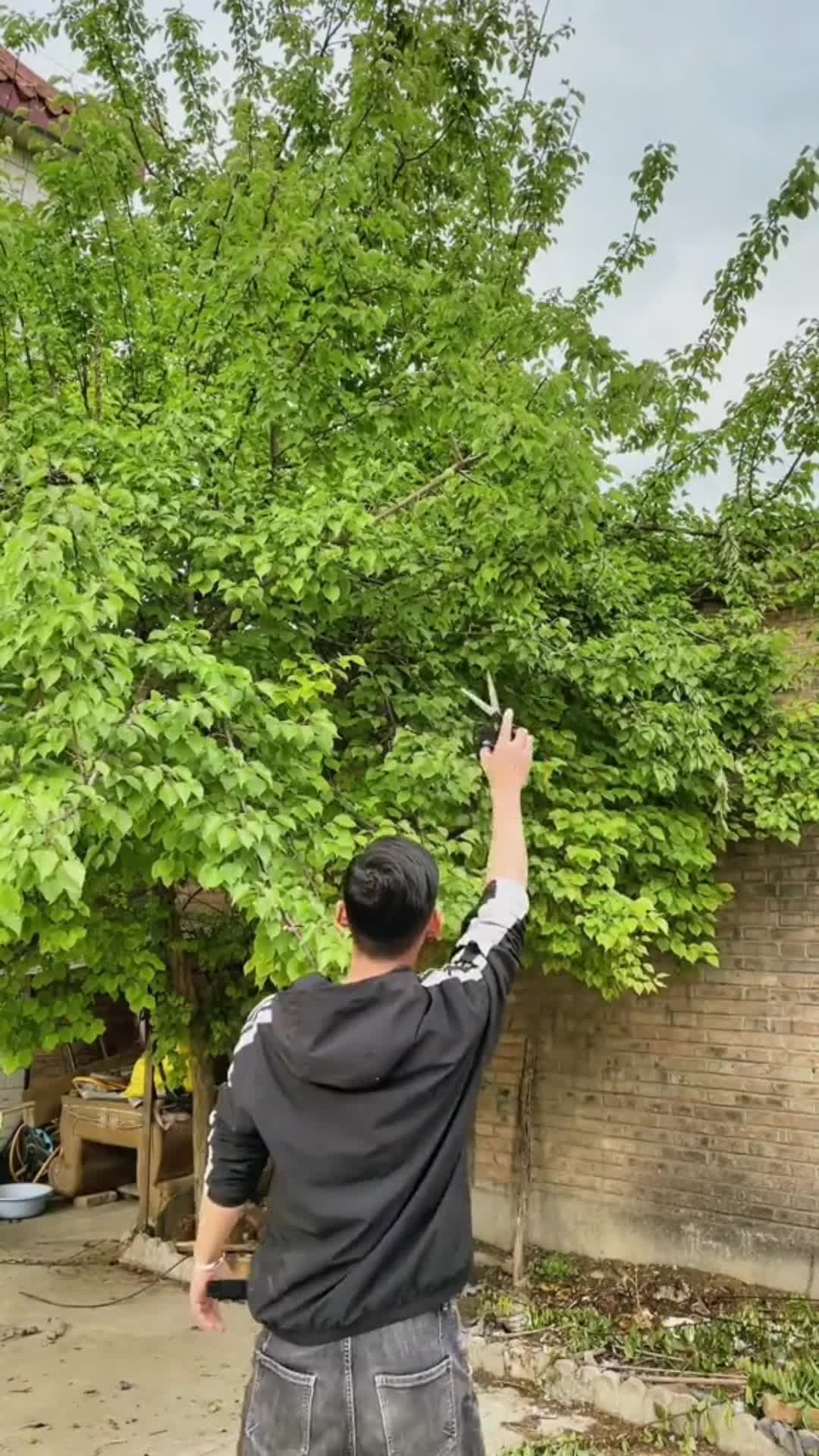 PRO Gunting Dahan Tarik Pisau Tali Multifungsi Alat Tamanan Anti Karat Peralatan Kebun Tree Pruners
