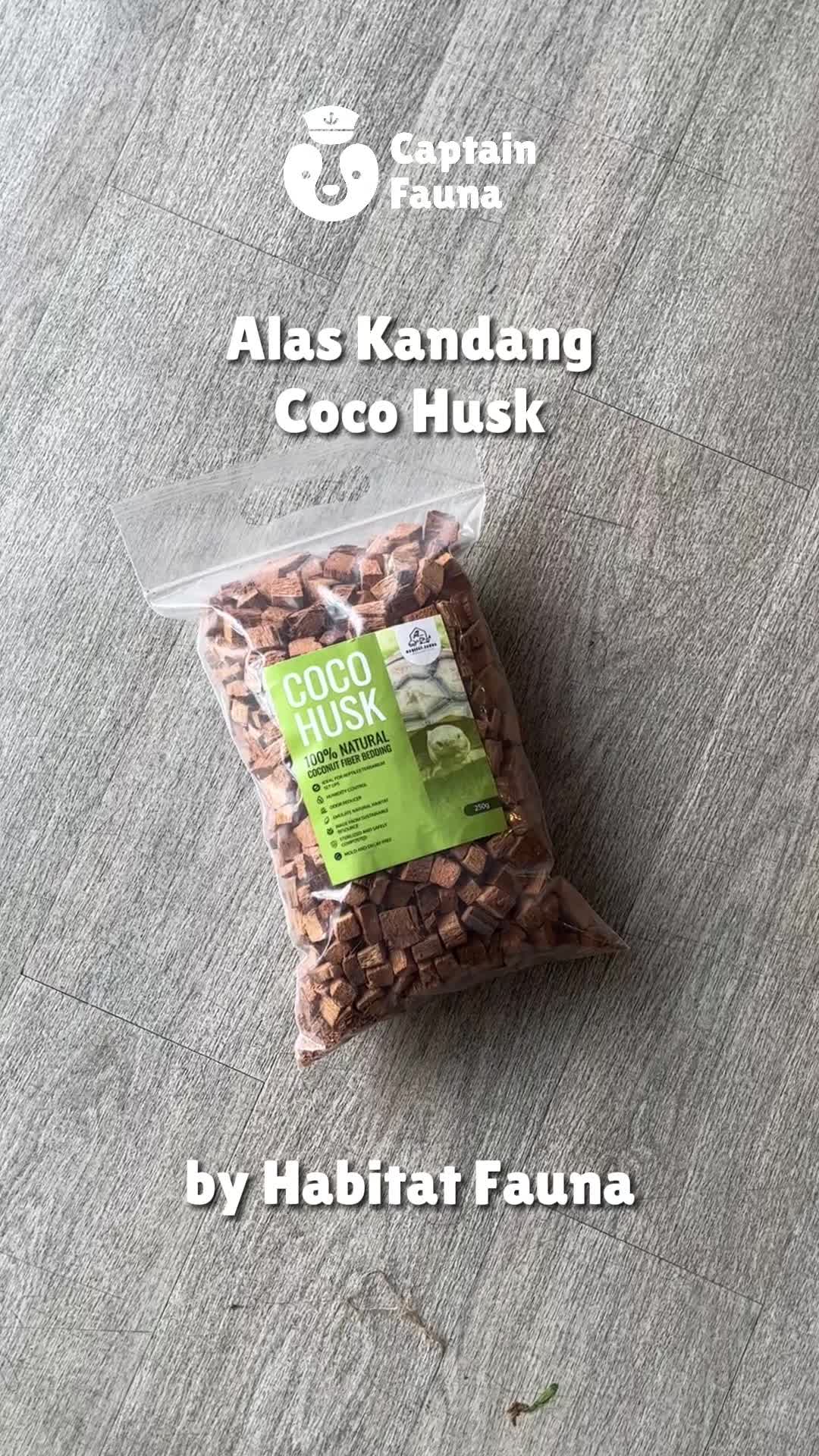 Habitat Fauna Coco Husk Alas Kandang Reptile Kura Darat