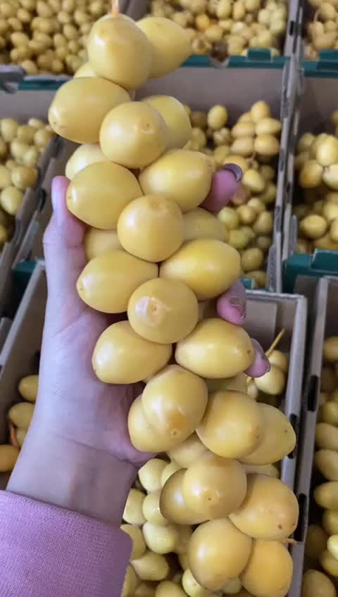 PAKET MAKANAN KURMA MUDA KUNING