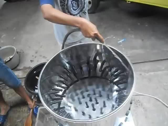 Karet Cabut Bulu Ayam Coklat Pentil 100pcs Untuk Mencabut Bulu Ayam dengan Lembut Dan Bersih