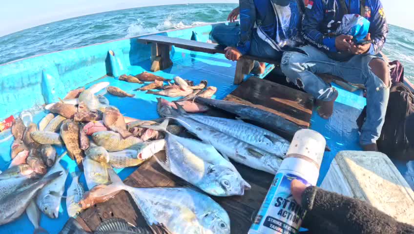 Strike Action cairan penambah nafsu makan ikan saat memancing Joran, Essen mancing, mancing kakap always umpan bawal