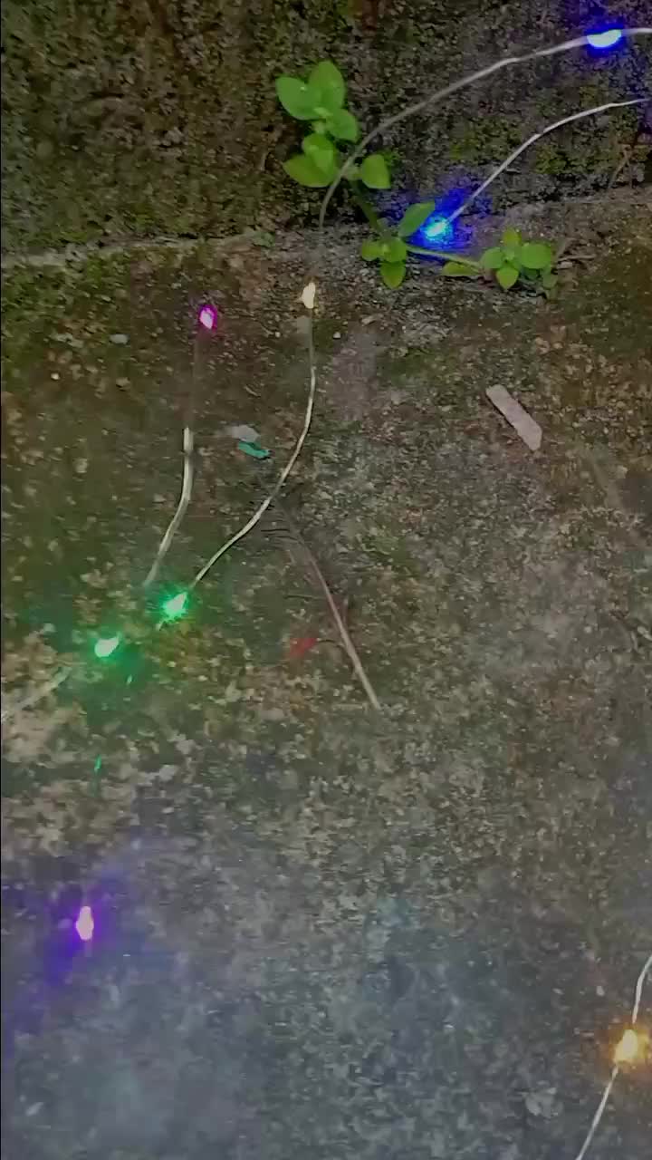 Lampu Layangan kawat led tumblr rainbow lampu hias panggung natal tanaman 17an kelap kelip
