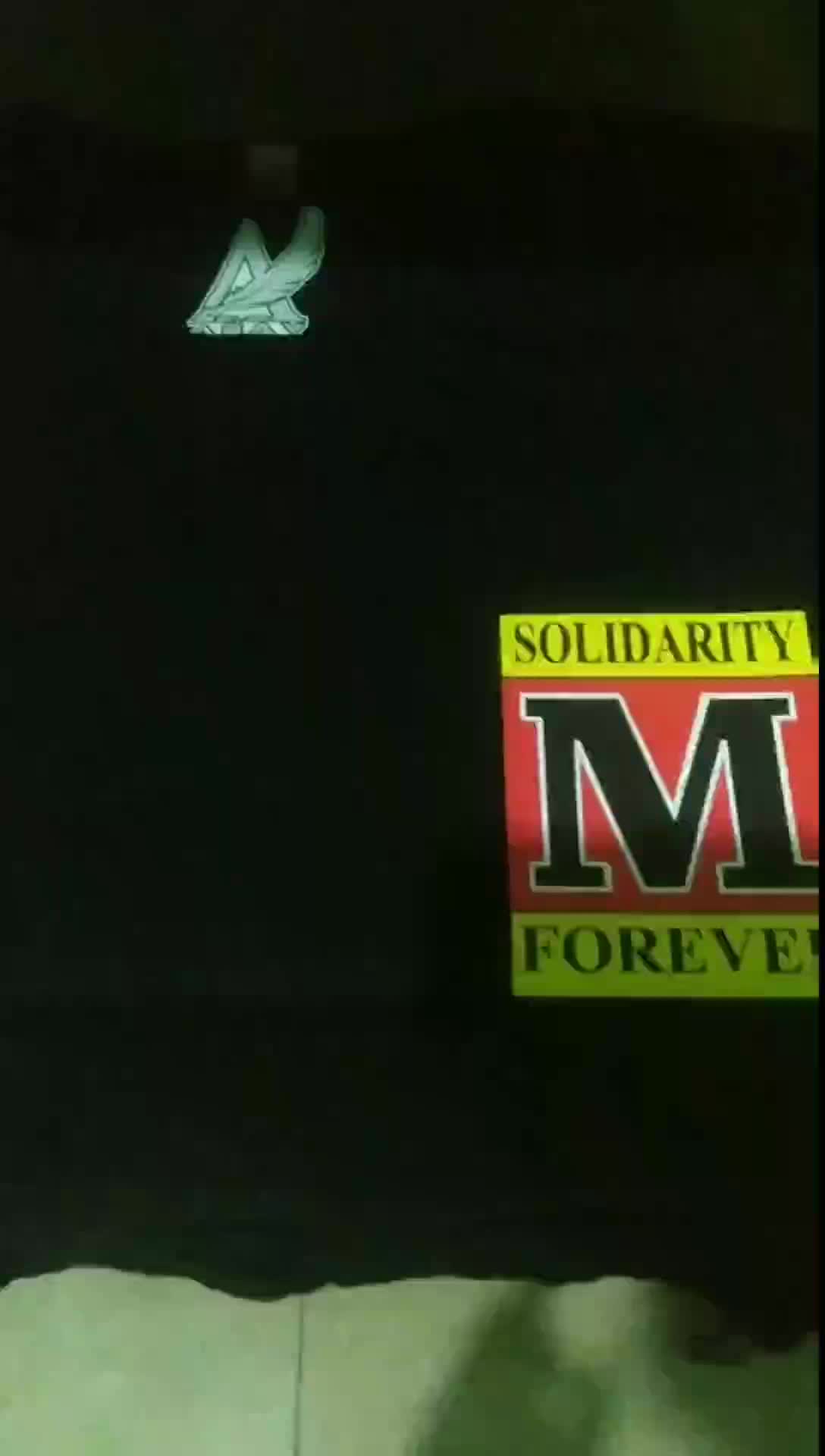 Kaos Custom Tshirt Hitam Baju Distro Sablon Pria SOLIDARITY FOREVER Katun Combed 30s Premium Quality