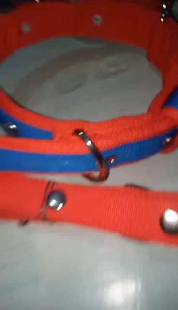 kalung kambing domba anjing SBL