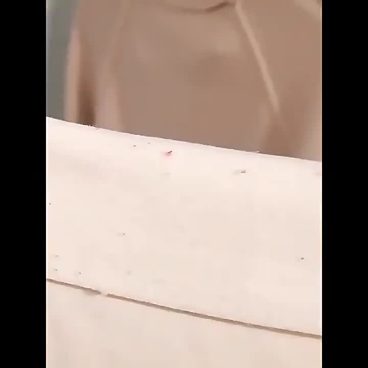 Alat pembersih serat bulu kain pakaian 2in1 sikat pembersih bulu kucing anjing