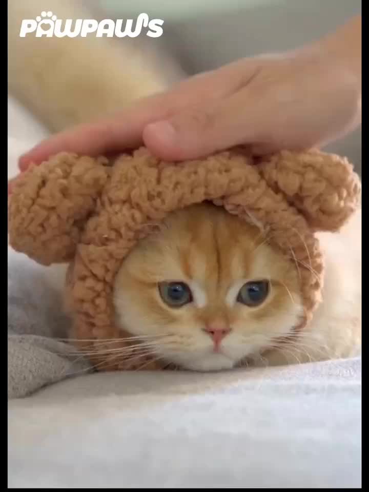 Pawpaw's Topi Kucing Lucu - Topi Beruang untuk kostum Hewan Peliharaan, Cocok untuk Cat Dog, Aksesoris Kucing Anjing  dengan Desain Beruang Topi Rajut Kucing Helm Kucing PP-HAC6049