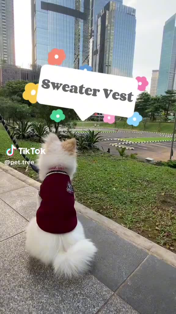 PET TREE • Sweater Vest / Rompi School Anjing Kucing