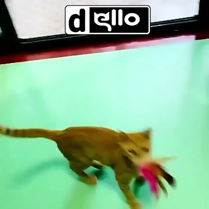 Mainan Kucing Cat toys Interaktif Self-help Tongkat Bulu Dengan Bell Untuk Anak Kucing Kitten DELLO