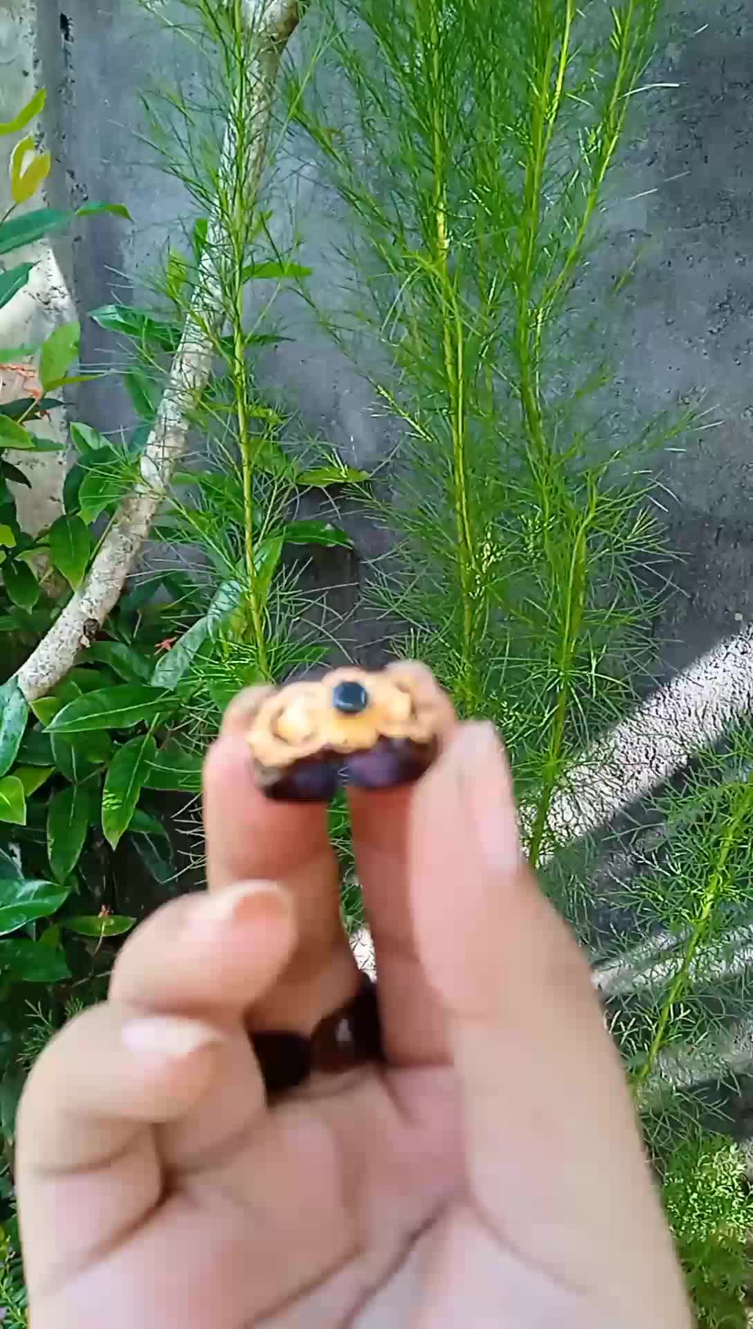 Cincin Pendok Iketan Perak asli lapis emas Permata Black Onyc