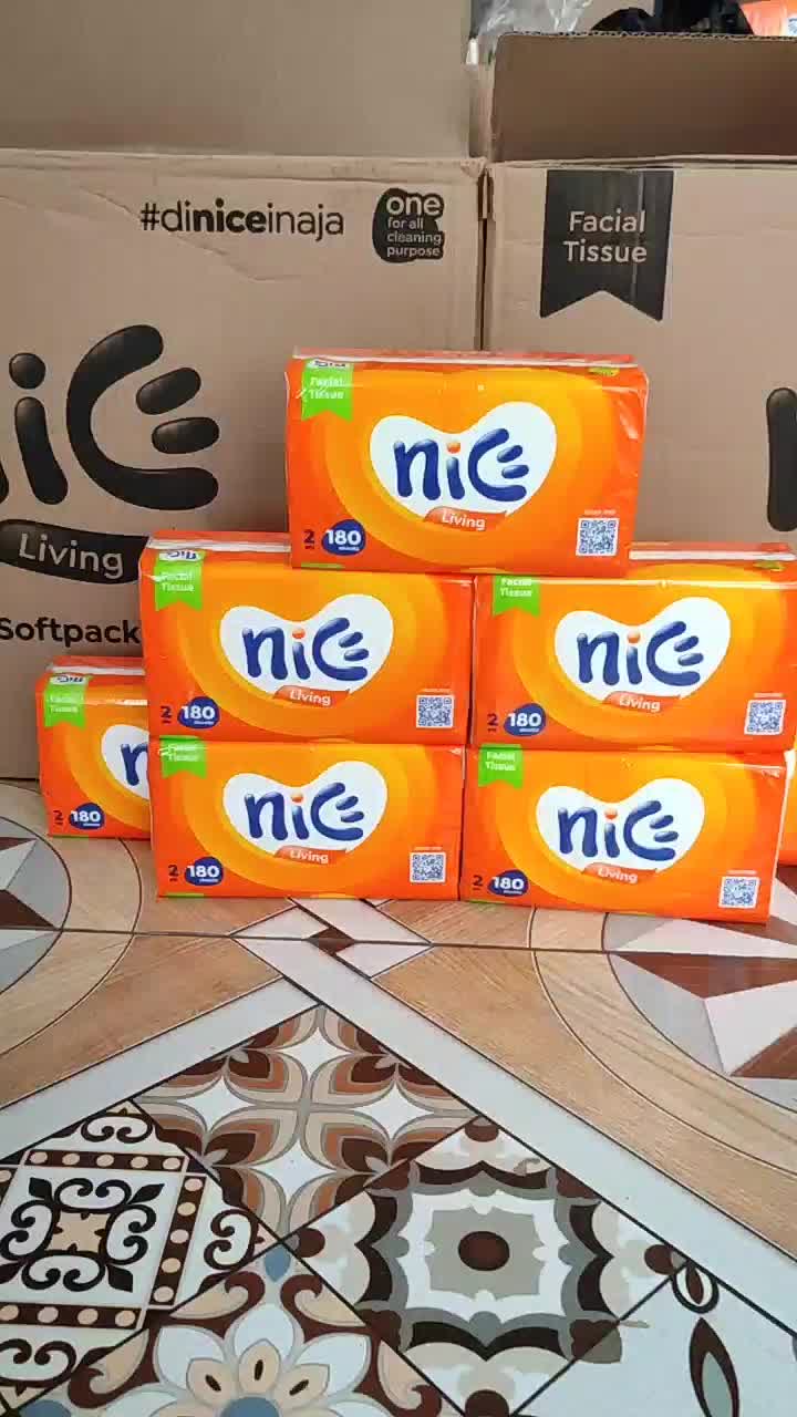 isi 10 Tisu Nice 360 helai Kemasan Baru dari 180 sheet 2ply safe food Tissue Facial