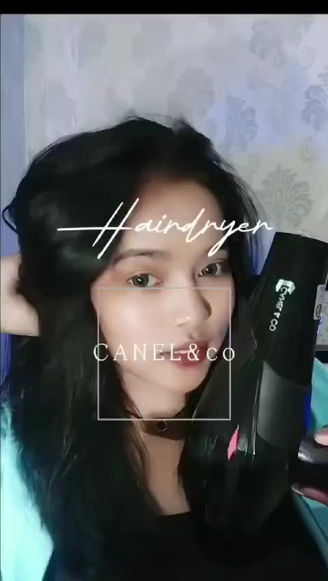 CANEL & CO 720W Hair dryer Anion Salon Kecantikan Perawatan Rambut Pengering Rambut Ionik 4 IN 1