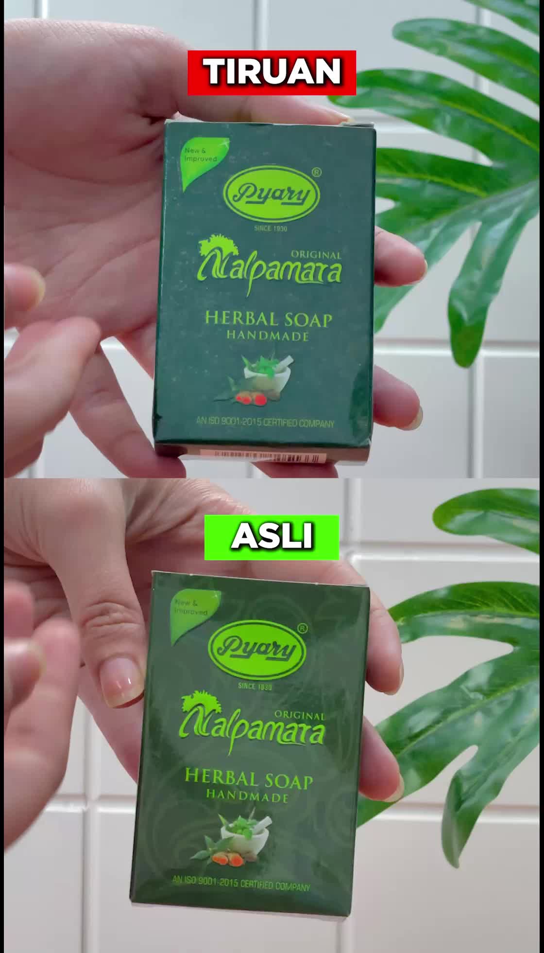 [Paket Hemat 5 PCS] NALPAMARA Sabun Pyary Nalpamara BPOM Distributor Resmi PyaryID