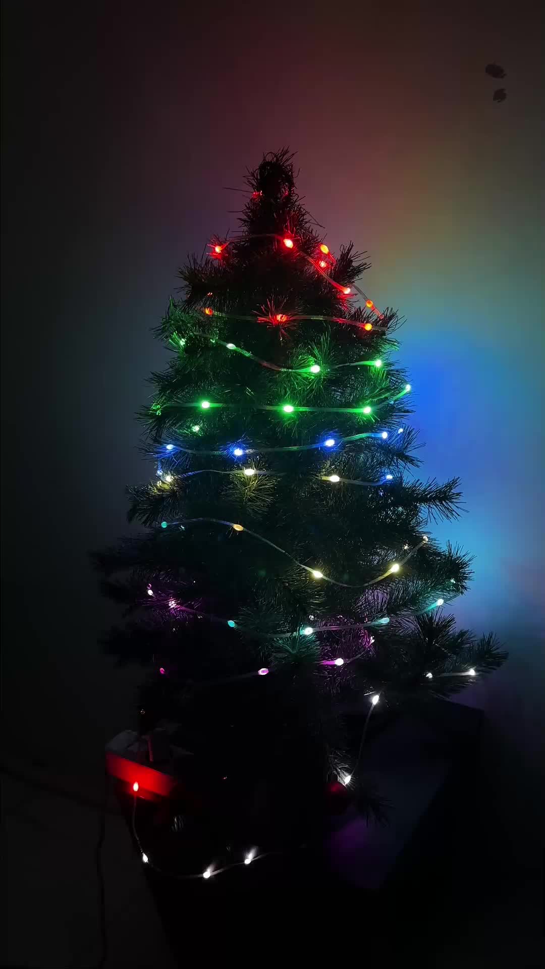 PPLUS LED Lampu String Hias 5V Led Strip RGB Runing Waterproof Bluetooth + Remote Lampu Dekorasi LED String Bluetooth / Fairy Light Pohon Natal & Ulang Tahun / Leather Line Light Symphony