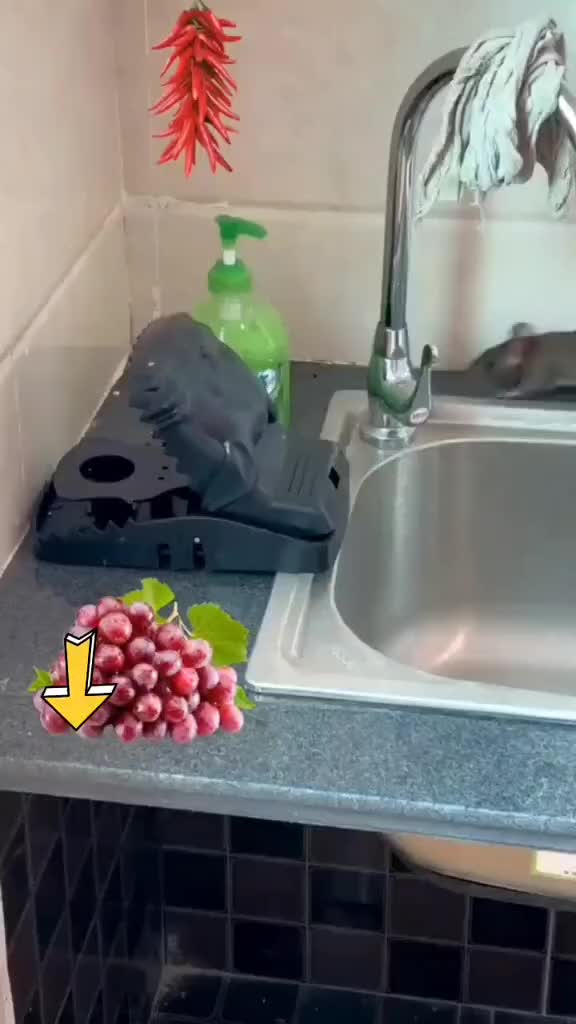 Get 4pcs - Perangkap Tikus jebakan tikus jepit otomatis mouse trap pest control